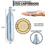 ICO 10pcs Cartouche Co2 12g, Cartouche Gaz Non Filetée, Airsoft Gaz pour Pistolet Airsoft, Pistolet à Bille, Pistolet Paintball,