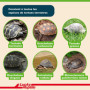 Lucky Reptile 65131 Tortoise Bedding 20 l, Terreau pour tortues terrestres