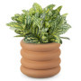 Navarsi Pot de Fleur - Pot Plante intérieur en Terre Cuite 26 x 16 x 4cm avec Base Soucoupe Amovible - Pot Fleur Interieur Exter