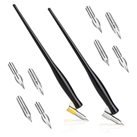 VitalEpcck Ensemble de 10 Stylos de Calligraphie Oblique, Ensemble de Plumes de Bande Dessinée, Stylo D'Écriture Fluide, Porte-S