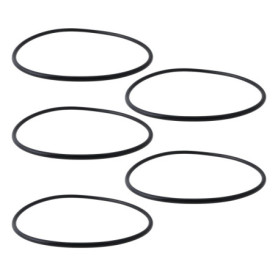 SG Store 5 Pièces Joint d'étanchéité de Réservoir Joints Toriques Pièce de Rechange P61214 Compatible avec Bestway Flowclear Fil