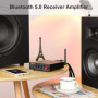 AIYIMA Amplificateur stéréo B01 Bluetooth 5.0 Digital 2.1 - Amplificateur Audio 50 W x 2 + 100 W Sub avec USB