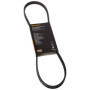 Continental Contitech 4PK885 Courroie trapézoïdale à nervures