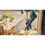 Bosch Home and Garden Souffleur de Feuilles AdvancedLeafBlower 36V-750 (Batterie 2,0 Ah, système 36 Volts, pour éliminer Les Feu
