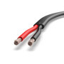 Auprotec Câble de véhicule de 10 m - 2 x 4,0 mm² - Câble plat à 2 fils - Câble électrique FLYY