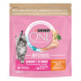 PURINA ONE Bifensis Junior | Croquettes Au Poulet pour Chaton | Sac de 450g (L'emballage Peut Varier)