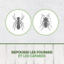 Pyrel Aérosol Anti-insectes rampants, Répulsif Rampants Fourmis et Cafards - Protection longue durée - 1 Aerosol 300 ML