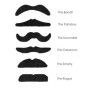 TRIXES Lot de 12 Fausses Moustaches Auto-adhésives Assorties pour déguisement – x6 The Smarty, The Rogue, The Scoundrel, The Cas