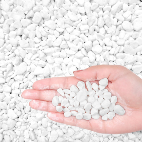 Winter Shore 1,35 kg de Cailloux Decoratif Blancs - Gravier Aquarium & Bassin, Terrarium, Jardinière, Paysages, Vases - Cailloux