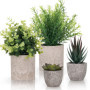 Winter Shore Plantes Artificielles Interieur (Lot 4) Petite Plante Artificielle Decoration Style Champetre - Fausse Plante en Po