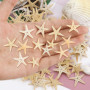 SLAXJNE Élément De Décoration en Forme D'Étoile De Mer, 50 Pièces, Accessoires De Photographie, Décoration De Maison, Matériaux 