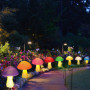Homeleo Lot de 8 lampes solaires en forme de champignon craquelé pour extérieur - Décoration de jardin pour l'extérieur - Champi