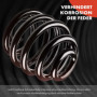 Frankberg 2x Ressorts de suspension Essieu Arrière Compatibles avec 307 2000-2014 C4 Coupé 2004-2011 C4 I 2004-2011 C4 II 2009-2