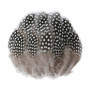 DHSBGWSX Lot de 100 plumes de perles, plumes brunes, décoration de plumes, plumes de pintade, accessoires de bijoux, décoration 