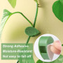 Bafumiu Pack de 60 Support Plante Grimpantes, Support Autocollant pour Plantes, Attache Cable Mural, Accessoires pour Plantes, F