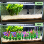 Kingrun 30 Pièces Plantes en Plastique d'aquarium, Plantes Aquatiques artificielles, Plantes d'aquarium Plastique Décoration, Co