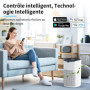 AROEVE Purificateur d'Air pour Maison Jusqu'à 120 m², CADR 300 m³/h, Mode Auto, Indicateur Qualité Air, Élimine Pollen, Poussièr