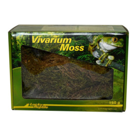 Lucky Reptile Vivarium Moss - 150 g de Mousse pour Terrarium - Mousse fraîche de Culture contrôlée - Augmente l'humidité de l'ai