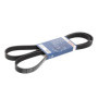 Bosch 1 987 948 496 Courroie poly