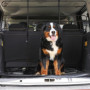 Relaxdays 10025123 Grillage Voiture, de Protection Chien, Grille de Séparation Universel, réglable en Hauteur,Largeur, Acier, Pl