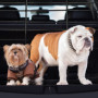Relaxdays 10025123 Grillage Voiture, de Protection Chien, Grille de Séparation Universel, réglable en Hauteur,Largeur, Acier, Pl