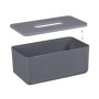 Relaxdays Boîte à mouchoirs avec Couvercle en Bambou, pour Salle de Bain, Moderne, HxLxP: 10x23x13 cm, Plastique, Gris
