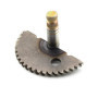 Kick starter Pignon de réparation kick-starter à ressort compatible avec les moteurs compatible avec 12,5 mm (50 cm3) // Speedfi