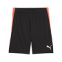 Jogging d'Entraînement de Football pour Adultes Puma Individualliga Train Noir Homme