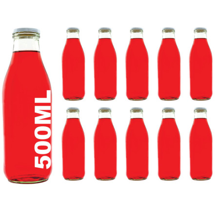 slkfactory 10 des Bouteilles en Verre de 500 ML vides Bouteilles de jus de