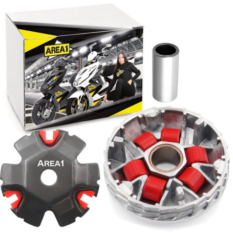 Area1 Variateur de tuning pour scooter chinois 50 cm3 4 temps. Compatible avec Lingtian Vanguard Tauris TNT Motor Rivero Neco Lu