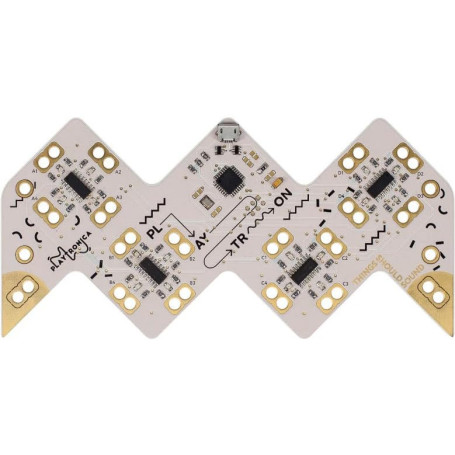 Playtronica MIDI-CONTROLLER PLAYTRON (Contrôle les instruments logiciels, jusqu'à 16 objets, expression créative, latence imperc