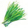 ZenGreens® – Graines de ciboulette bio - Graines d'herbes aromatiques à cultiver facilement au jardin, sur le balcon ou en cuisi
