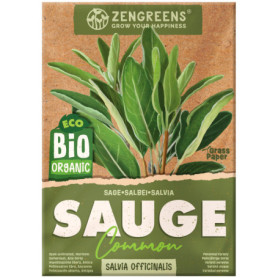 ZenGreens® – Graines de sauge bio - Graines d'herbes aromatiques à cultiver facilement au jardin, sur le balcon ou en cuisine – 