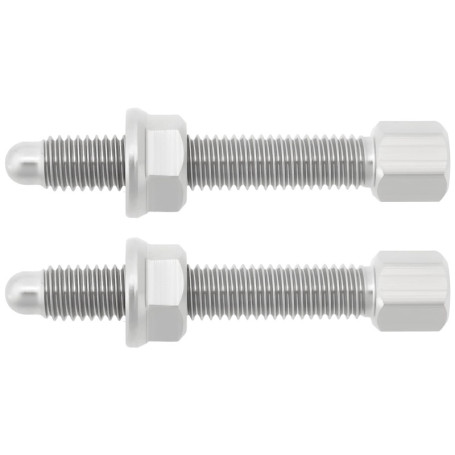 ECSiNG Lot de 2 Boulons Et écrous de Tendeur de Chaîne en Acier Inoxydable M8 X 1,25 Compatibles avec Honda 85 125 150 250 450 R