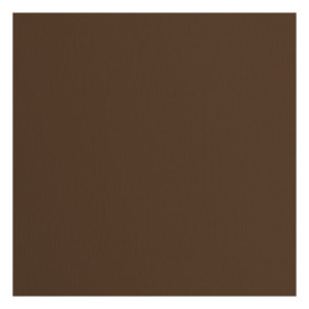 vaessen creative Florence Papier Cartonné, Brun (Noisette), 216g, Carré, 30,5 x 30,5 cm, 20 Feuilles, Surface Texturée, pour Pei