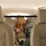 Nobleza Filet Voiture pour Chien, Grille de Séparation pour Chien, Barrière Chien Voiture Barrière de Siège Avant pour Animaux d