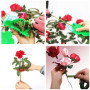 Woohome 5 PCS Arrangement de Fleurs Roses, Sécateur à Jardin, Décapant à Roses en Plastique, Dissolvant D'épines en Metal et Gan