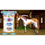 Bibi & Tina at the Horse Farm PS4 Game