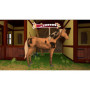 Bibi & Tina at the Horse Farm PS4 Game