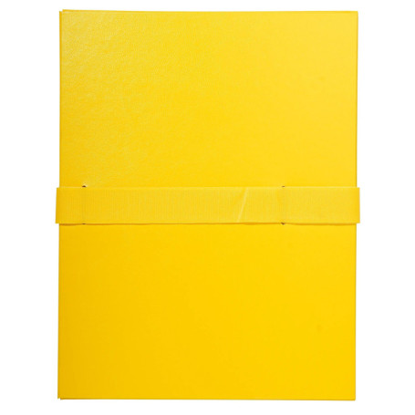 Exacompta - Réf. 627E - Carton de 10 chemises à dos extensible balacron - 1 rabat - fermeture par sangle auto-agrippante/scratch