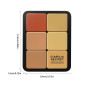 Palette de 12 couleurs d'anticernes et de fards à joues, longue tenue, résistante aux bavures, estompable, 2 en 1 fards à joues 