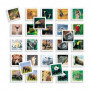 Jouet Educatif Diset Memo Photo Animales 54 Pièces 24,99 €