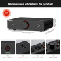 AIYIMA A20 Amplificateur stéréo symétrique avec réglage HPF 2,1 Ampères TPA3255 HiFi amplificateur de classe D de bureau PFFB av