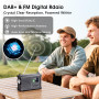 Dab/Dab+/FM Radio Solaire Manivelle, Radio d'urgence avec 8500mm² Grand Panneau Solaire, Lampe Torche LED & Lampe de Lecture, Ho