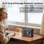 Dab/Dab+/FM Radio Solaire Manivelle, Radio d'urgence avec 8500mm² Grand Panneau Solaire, Lampe Torche LED & Lampe de Lecture, Ho