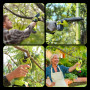 Supstable Mini Tronçonneuse 6 Pouces/Sécateur Électrique Sans Fil 33 mm, 2-en-1 Kit Outil de Jardin avec 2 × 2000 mAh Batteries,