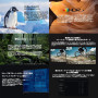 Zidoo Z30 Pro Android 8K Mediaplayer - B-Ware
