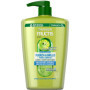 Shampooing Garnier Fructis Force & Brillance 1000 ml