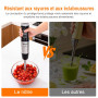 Ibergrif Mixeur Plongeant 1000W 4-en-1 en Acier Inoxydable avec Réglage Continu de Vitesse et Bouton Turbo, Mixer Plongeur Set a