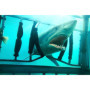 Shark 3D - Combo Blu-ray et DVD 18,17 €